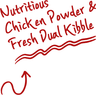 Ecotech 宠物零食